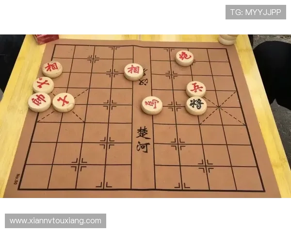 我国棋队两牌进账 国际象棋快棋赛摘两银 我国棋队两牌进账 国际象棋快棋赛摘两银